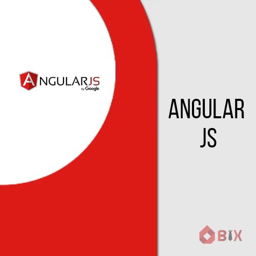 Angular JS 